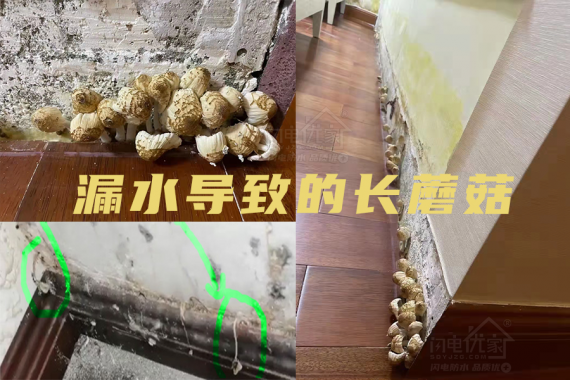 衛生間漏水維修必看的防水知識科普！